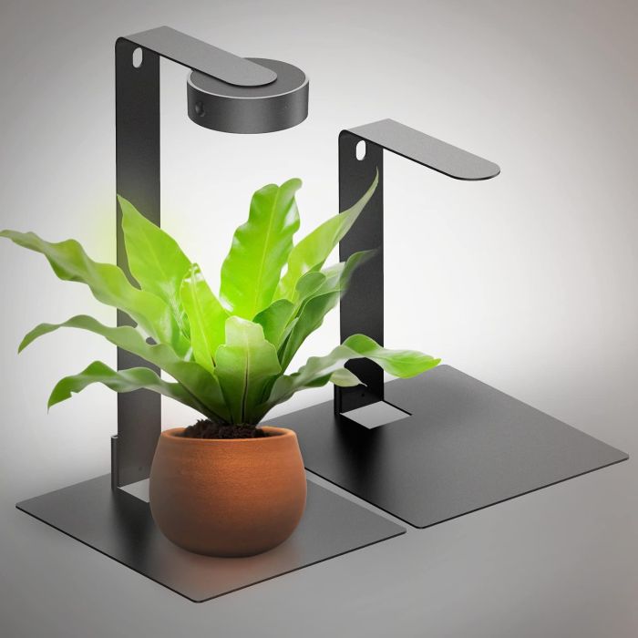 ONF Mist O Desktop Planted Lighting for Succulents